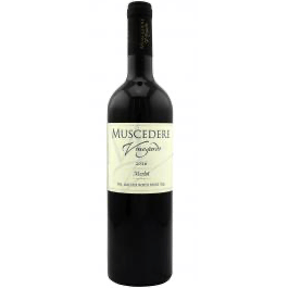 Muscedère Merlot 2020 | 90pts