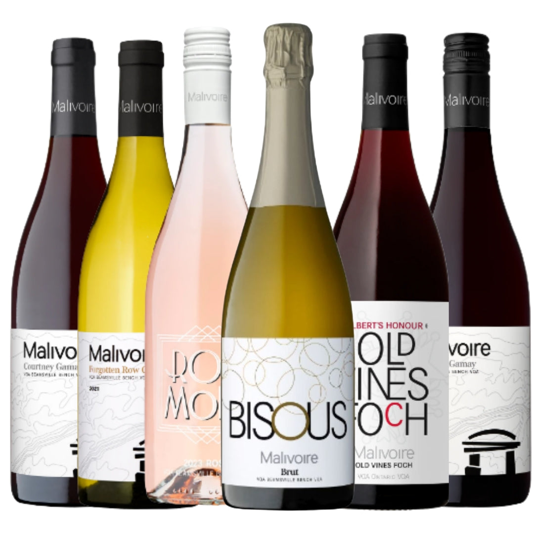 Six Bottle Malivoire Discovery Pack | 90-93 points