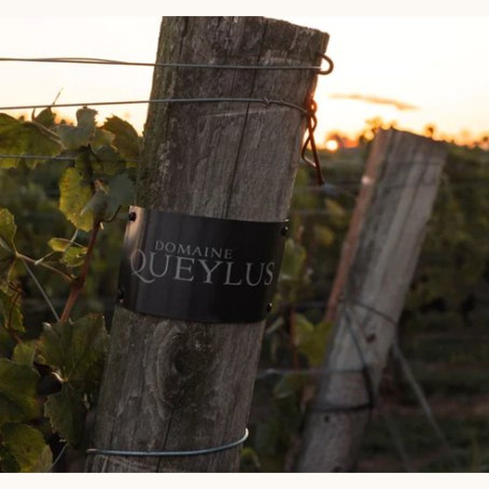 Domaine Queylus Lunch & Tasting - Carl's Wine Club