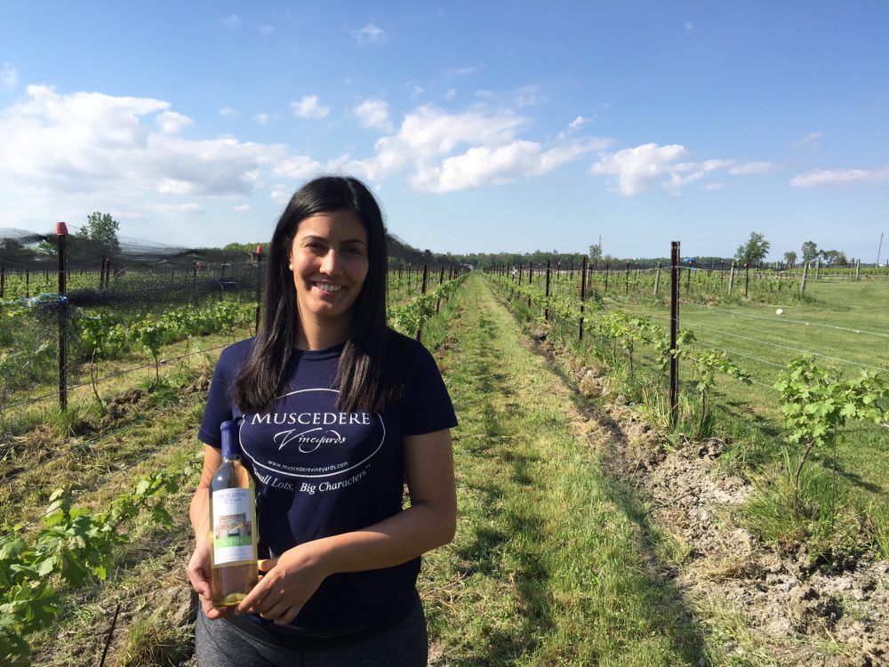 Charger la vidéo : live interview with Melissa Muscedere from Muscedere Vineyards