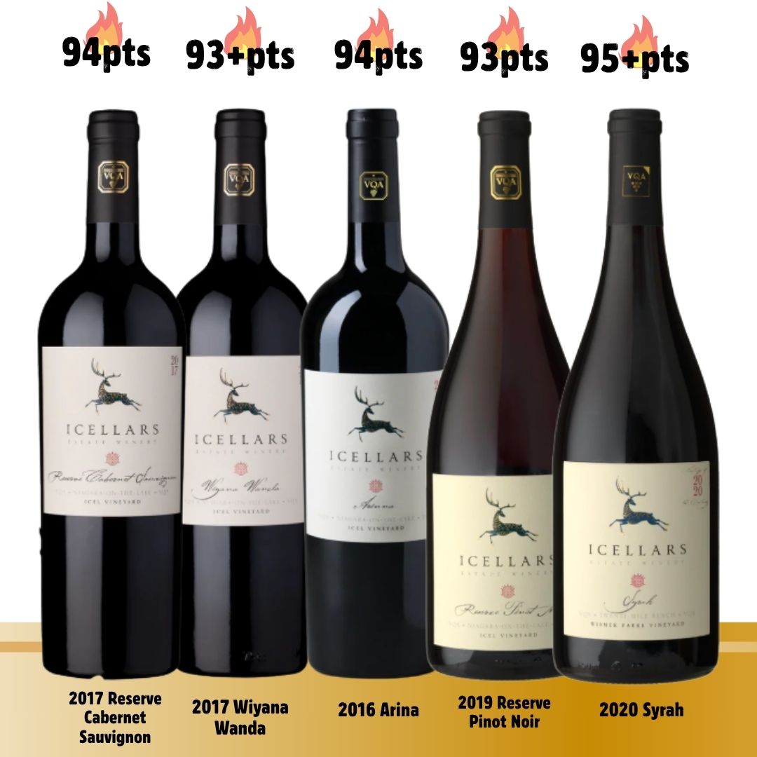 Five Bottle Icellars Collector Pack🔥 93 to 95+pts