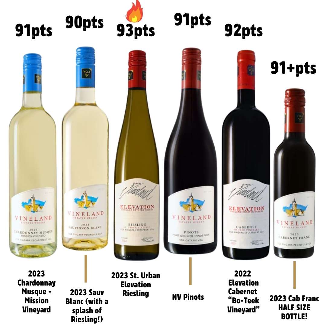 Six Bottle Vineland Discovery Pack | 90 to 🔥93pts