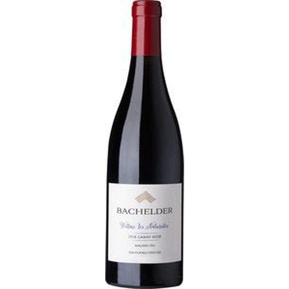 2020 Bachelder “Willms – Les Naturistes” Gamay Noir - Carl's Wine Club
