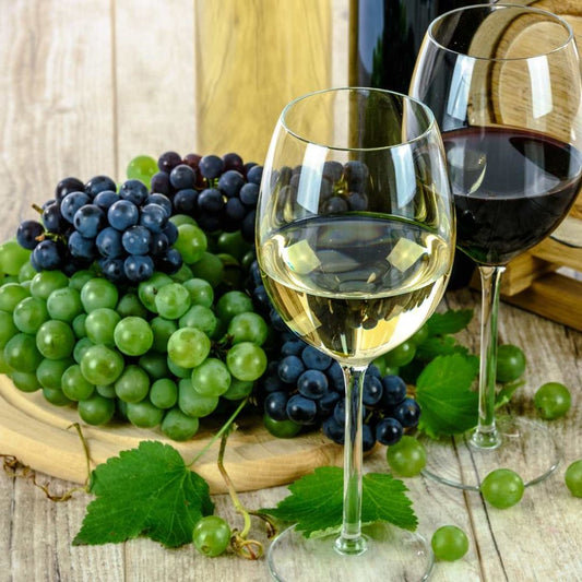 Da Silva Vineyard Experience: Winery of the Year Celebration - Carl's Wine Club